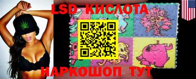 ПСИЛОЦИБИНОВЫЕ ГРИБЫ Будённовск