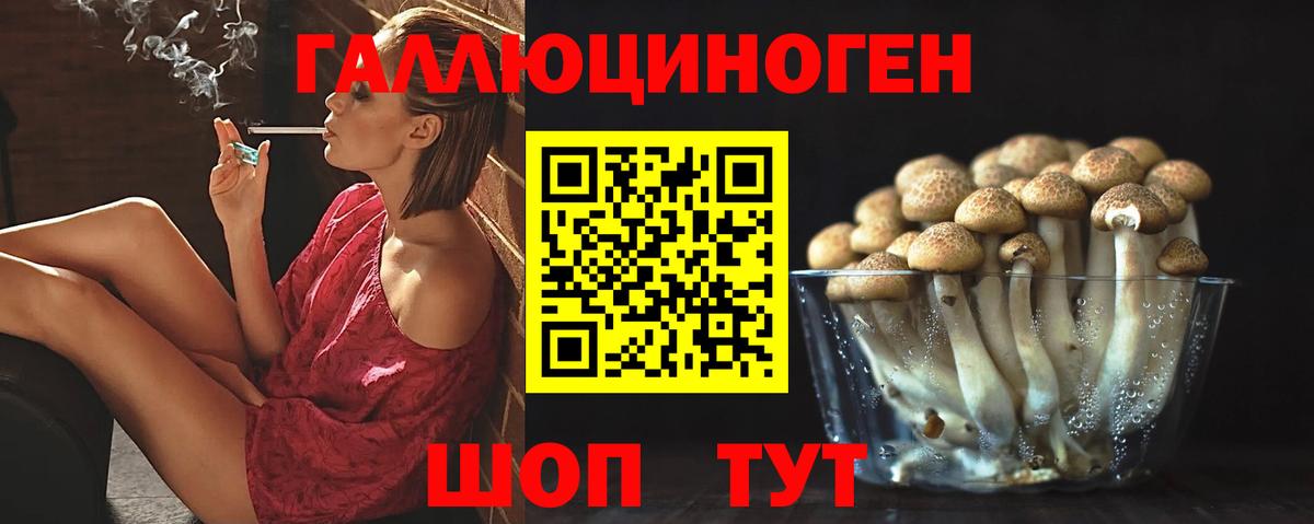 Псилоцибиновые грибы Psilocybine cubensis Новокузнецк